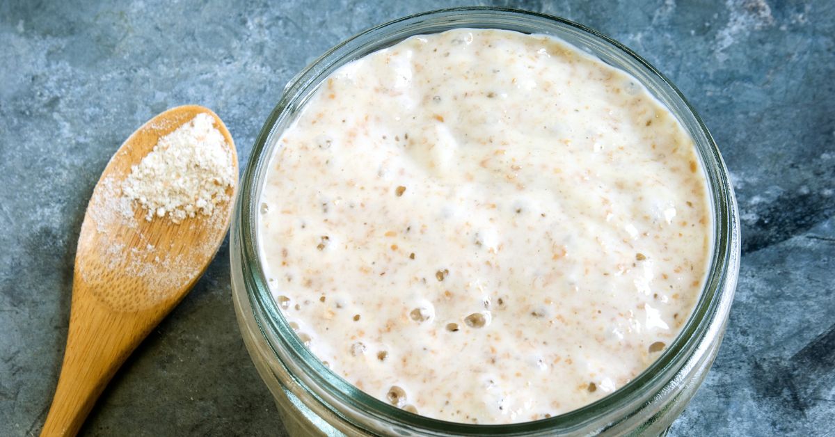 Sourdough starter