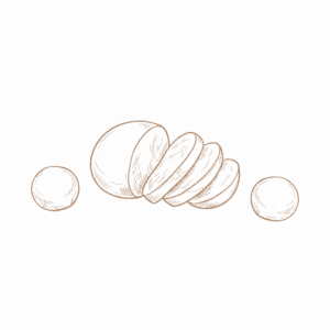 mozzarella